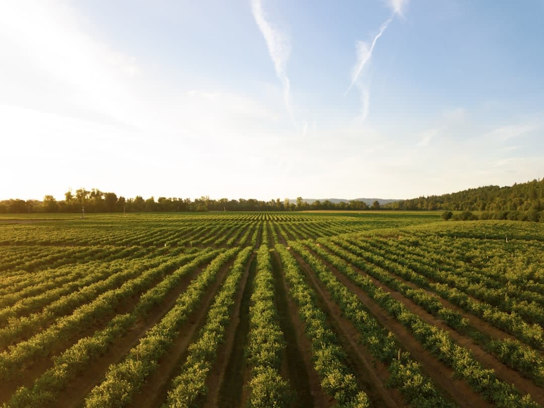 Indian Agriculture — Latest Development