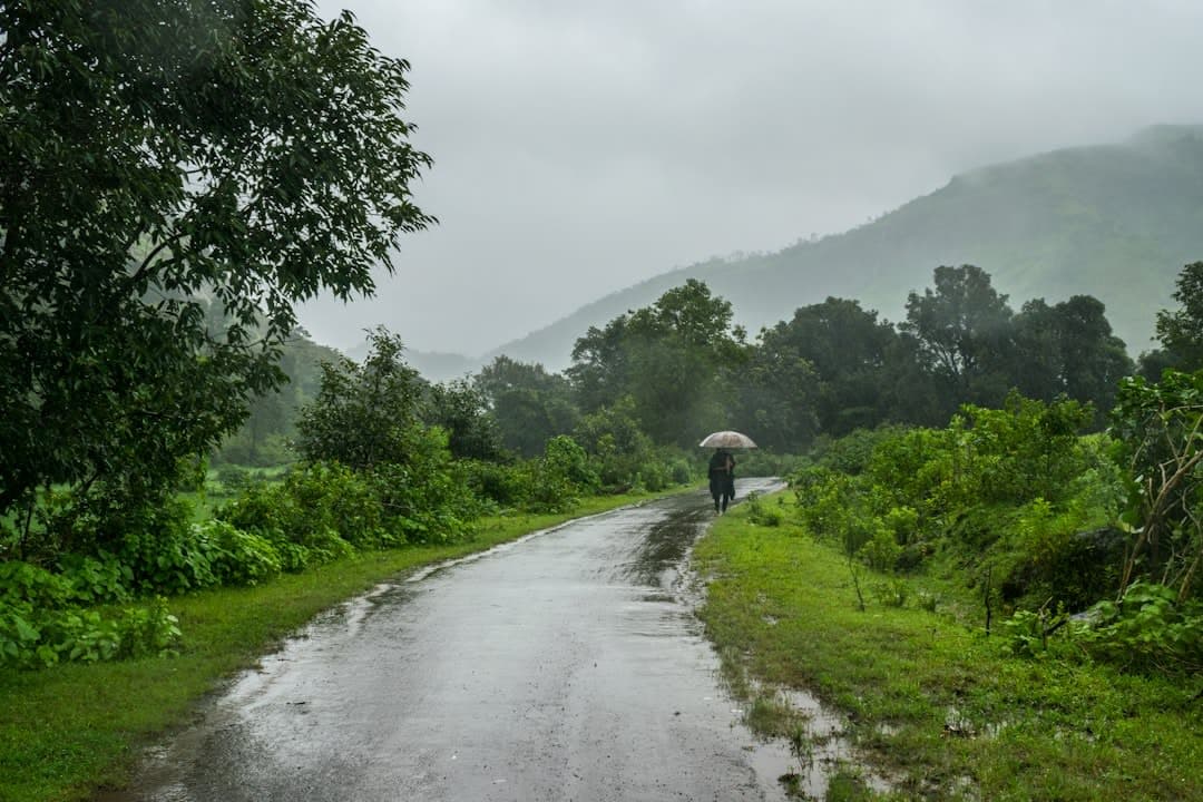 The Recent Weather Events in Himachal